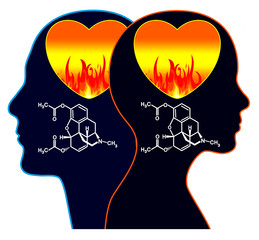 The secrets of attraction. The chemistry of love makes couple addicted like heroin.