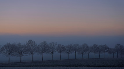 Fototapeta premium Winter colors