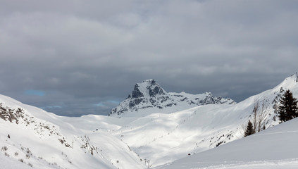 Fototapeta na wymiar beautiful Alps mountain lanscape fir trees and rocks under snow
