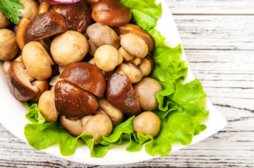 Fermented food on a white plate. Marinated mushrooms champignons with onion rings and parsley close up and copy space