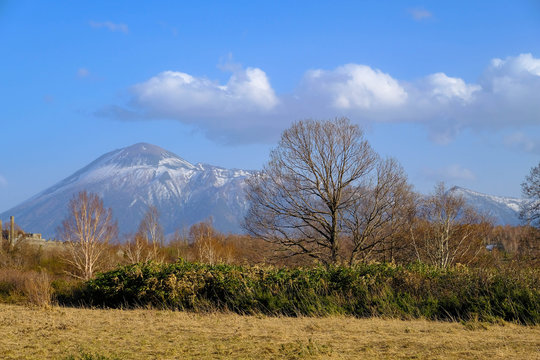 Dry trees forest with blue clouds sky and Mountain View background in sunny day, dry grass field in brown color cold weather will come in fall season.