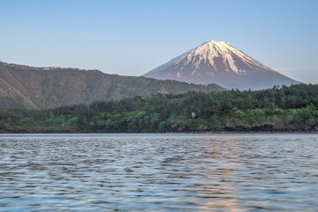 Fototapeta premium Mountain fuji view , mt.fuji background lake Saiko one of the fuji five lakes in Japan
