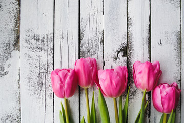 Pink tulips on a white wooden background