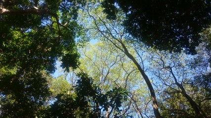 Obraz premium Dunas Park