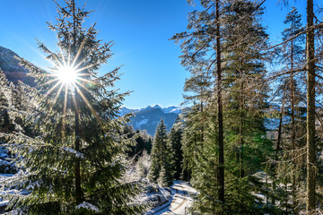 Fototapete bei efototapeten.de bestellen   
