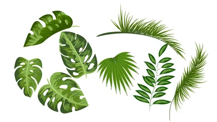 Fotobehang Tropische bladeren Tropical leaves collection drawing set  vector isolated elements on white background,elements,flyers, invitation,brochure,spring,summer,banners,posters,white background,bag and t-shirt print