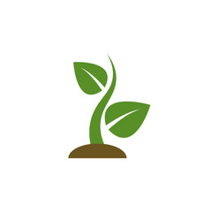 Fototapeta na wymiar Planting seed sprout in ground. Symbol grow sapling. Vector illustration
