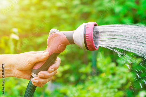 Female Hand With Sprinkler Watering A Vegetable Garden On A