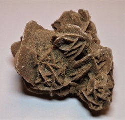 Sandrose Wüstenrose