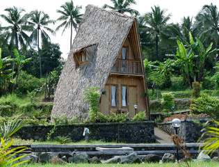 unique house made of bamboo and shingle roof