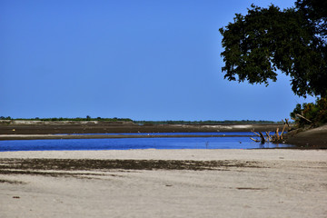 view of the beach