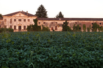 Obraz premium Old venetian villa in Palladio style near Vicenza