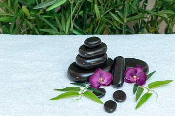 Massage Relax Zen 