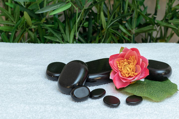 Fototapeta na wymiar Massage Relax Zen 