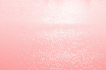 Fototapeta premium Color live coral trend 2019. Water