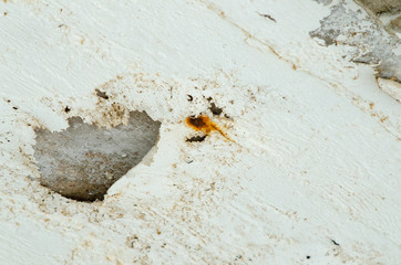 causing chalking of the wall plaster, rusty surface spot