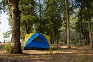 Spread the seaside tent for a relaxing holiday,camping under  tree
