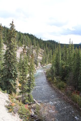 Above The Maligne River, Jasper National Park, Alberta