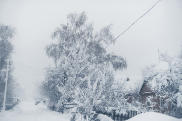 Winter snowfall in the village. Snowy collapse