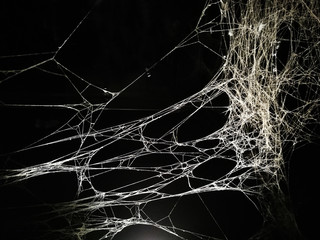 Web of spider in urban art