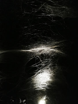 Web of spider in urban art