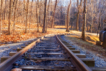 old railway in  forest