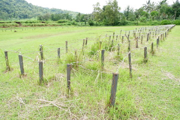 Fototapeta na wymiar barbed wire for shooting and hunting practice sites