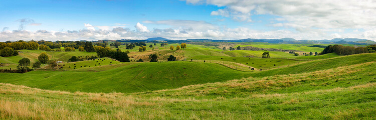 High resolution panoramic landscape with green hills in New Zealand, northern island