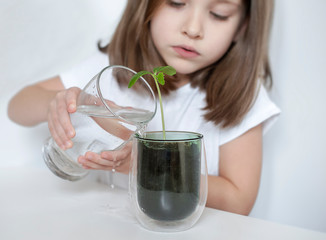 Little toddler girl is holding a transparent glass with water and watering young plant. Caring for a new life. The child's hands. Selective focus. Earth day holiday concept. World Environment Day