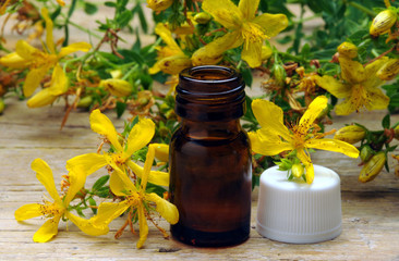 Hypericum, perforatum Iperico