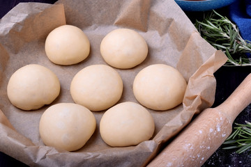 Round yeast dough buns on parchment are ready to be baked