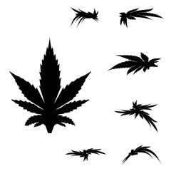 Marijuana leaves black silhouette. Cannabinoid. Hemp for the treatment of marijuana oil. Cannabis. Vector illustration on isolated background.