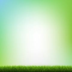 Fototapeta na wymiar Green Grass And Blue Background