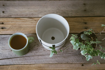 Green Coffee Cup, White Pot, Green Ivy Plant