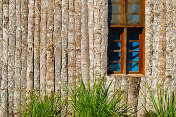 Wooden planket wall with window and grass Zanzibar african style
