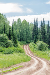 Fototapeta premium Summer landscape with old road. Rural