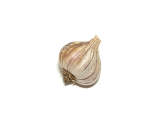 Fresh garlic organic White Background