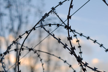 Fototapeta na wymiar Barbed wire