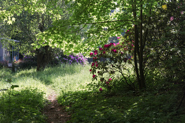 Fototapete bei efototapeten.de bestellen   