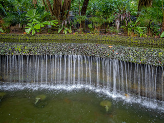 Lush vegetation and a fountain in the Singapore botanic gardens