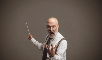 Crazy angry professor yelling and pointing with a stick