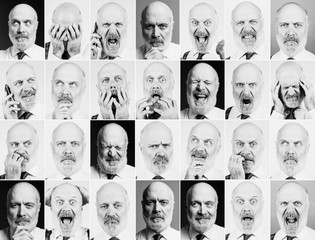 Mature businessman portraits collection