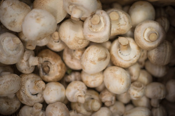 Mushrooms on the shop counter.