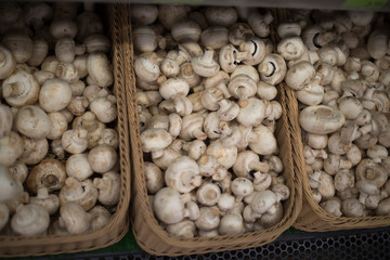 Mushrooms on the shop counter.