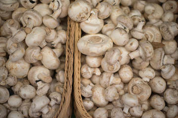 Mushrooms on the shop counter.