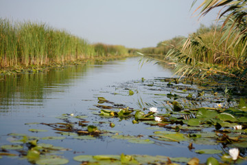 Danube Delta canals