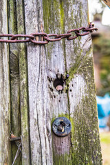 Rusty chain on an old wooden gate 