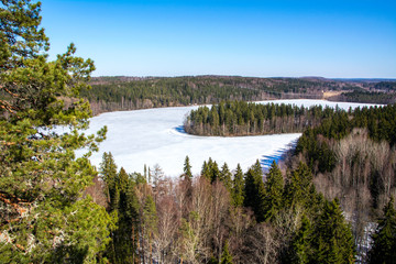 Fototapeta na wymiar View from Aulanko Observation Tower to Lusikkaniemi and Lake Aulangonjärvi, Aulanko Nature Reserve, Hämeenlinna, Finland