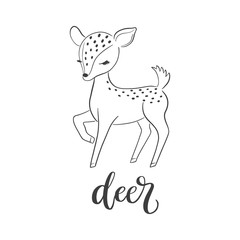 Baby deer vector illustration