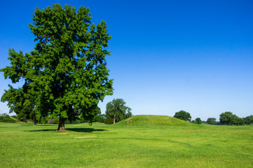 Fototapeta na wymiar Blue sky behind large tree and man made hill at the Cahokia Mounds the remains of the largest Pre-Columbian city north of Mexico